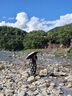 Wpc.遮陽(yáng)傘太陽(yáng)傘日本防紫外線折疊晴雨兩用傘超輕小巧便攜黑膠防曬傘 曬單實(shí)拍圖