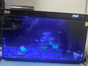 森森金麟超白智能魚缸小型桌面免換水生態(tài)魚缸一體缸自循環(huán) 【自動(dòng)喂食】LE-480B+加熱棒 曬單實(shí)拍圖