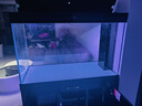 漢霸超白玻璃魚(yú)缸 生態(tài)底濾循環(huán)系統 魚(yú)缸客廳 家用智能懶人 水族箱 黑+黑 屏風(fēng)款1.16米長(cháng)x52cm寬x80cm+80cm 曬單實(shí)拍圖