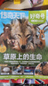 好奇號雜志 6-12歲兒童科普百科 小學(xué)生通識教育2026年1月起訂閱 1年共12期雜志鋪 每月3本青少年科普百科Cricket Media版權(quán)中英雙語青少年科普百科送雙語冊/音頻非萬物博物過刊 曬單實拍圖