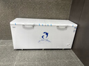 澳柯瑪（AUCMA）560升家用商用大容量冰柜 臥式囤貨大冰箱 冷藏冷凍轉換單溫頂開(kāi)門(mén)冷柜 BC/BD-560TC 國家補貼 曬單實(shí)拍圖