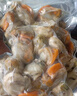 初鮮大號冷凍帶黃扇貝肉凈重2斤約80-120顆燒烤火鍋食材海鮮水產(chǎn)聚餐 曬單實(shí)拍圖