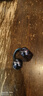 SANAG塞那S6SUltra【國家補(bǔ)貼】耳夾式藍(lán)牙耳機(jī) 骨傳導(dǎo)概念不入耳開放式運(yùn)動(dòng)AI掛耳式無線耳機(jī) 適配小米 曬單實(shí)拍圖