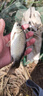 川澤線(xiàn)組主線(xiàn)全套進(jìn)口魚(yú)線(xiàn)成品線(xiàn)組套裝釣鯽魚(yú)競技線(xiàn)組正品大物線(xiàn)組 4.5m【4卷裝】+收納盒剪刀 1.5號 曬單實(shí)拍圖