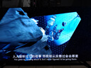 華為Vision智慧屏 4 SE 75英寸 New 4K超級投屏 國家補貼15% Pura 80投屏好搭檔 平板電視機HDB5277P 曬單實(shí)拍圖