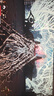 YUNLIYOU明末：淵虛之羽 Wuchang: Fallen Feathers STEAM正版游戲 國(guó)區(qū)CDKEY 豪華版（含預(yù)購(gòu)獎(jiǎng)勵(lì)現(xiàn)貨秒發(fā)） 國(guó)區(qū)CDKEY 曬單實(shí)拍圖