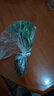特價懶人水培綠植九里香綠蘿文竹室內(nèi)易養(yǎng)凈化空氣花卉盆栽 九里香5顆【不含盆】土培水培皆可10-15cm 曬單實拍圖