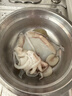 鮮喜利新鮮大墨魚(yú)鮮活冷凍墨魚(yú)仔超大生鮮水產(chǎn)海鮮烏賊目魚(yú)整只不泡藥 【大號2只裝】每只約 500g(凈重) 曬單實(shí)拍圖