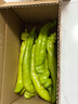京鮮生內蒙古新鮮尖椒凈重1.5斤裝 新鮮蔬菜 辣椒 源頭直發(fā) 曬單實(shí)拍圖