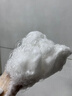 OHBT防脫育發(fā)洗發(fā)水500g生姜洗頭膏固發(fā)去屑防掉斷發(fā)控油金榜第1名 曬單實(shí)拍圖