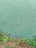 魚(yú)耀水凈爽芽孢桿菌水產(chǎn)養殖免擴培蝦蟹魚(yú)塘益生菌粉劑凈水復合菌種 買(mǎi)6送1【到手7袋】 曬單實(shí)拍圖