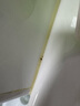 膜太（MOOTAA）進口墻面除霉劑去霉菌霉斑霉點發(fā)霉清除家用墻壁去霉神器550ml*1 曬單實拍圖