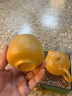 豐眾黃段紫砂壺鳳鳴西施茶壺半手工功夫茶具高顏值一壺兩杯伴手禮盒 黃段西施1壺2杯禮盒裝 200ml 曬單實(shí)拍圖