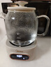 美的全玻璃養生壺 辦公室燒水壺 家用多功能煮茶壺 花茶煮茶器 迷你小型電熱水壺 圍爐煮茶壺 【全玻璃】0金屬0膠水0涂層 1L 曬單實(shí)拍圖