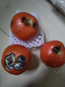 新鮮沙瓤大番茄生吃西紅柿減肥早餐即食新鮮蔬菜生鮮單果＞100g 暢享裝 3斤 凈重 曬單實(shí)拍圖
