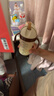 世喜奶瓶水杯配件（吸管杯杯頭直飲款）適配7.2cm口徑瓶身 曬單實(shí)拍圖