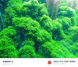 頂峰保羅（Dingfengbaoluo）純棉工裝褲男復古百搭美式休閑痞帥彎刀闊腿長(cháng)褲子ZX02黑色2XL 曬單實(shí)拍圖