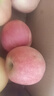正宗煙臺棲霞紅富士10斤裝蘋(píng)果現摘新鮮水果脆甜多汁冰糖心蘋(píng)果 煙臺蘋(píng)果 3斤裝 試吃 曬單實(shí)拍圖