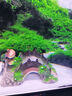 魚(yú)缸造景裝飾橋 微景觀(guān)樹(shù)脂橋龜爬臺水族復古拱橋擺件 魚(yú)缸30CM大號造景橋 曬單實(shí)拍圖