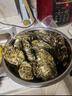 百鮮洽乳山生蠔鮮活特大牡蠣帶殼生吃海蠣子新鮮海鮮水產(chǎn)貝類(lèi)聚會(huì )燒烤 【超值款】3XL 帶箱10斤（22-30只） 曬單實(shí)拍圖