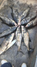 猛攻淦將二代魚(yú)竿輕量巨物竿鰱鳙青草鳊釣魚(yú)手竿漁具裝備 7.2m 淦將二代鰱鳙大物竿 曬單實(shí)拍圖