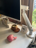 飛利浦（PHILIPS）顯示器支架 免打孔桌面顯示屏支架 升降伸縮旋轉(zhuǎn)移動(dòng)電腦支架 顯示器底座增高架SPT7308W珠白 曬單實(shí)拍圖
