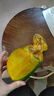 三萌果蔬攀枝花凱特芒果 四川當季新鮮水果青皮大芒果現摘整箱 5斤甄選果【單果400g+】?jì)糁?.5斤 曬單實(shí)拍圖
