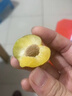 現貨四川茵紅李青紅脫骨李子新鮮脆甜當季水果青脆李脆紅李半邊紅 5斤 大果 曬單實(shí)拍圖