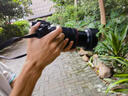 佳能（Canon）EOS R6 Mark II R62 全畫幅微單相機(jī) R6二代 4K Vlog視頻直播 RF24-105mm F4 IS套機(jī) 旅行暢玩套裝 曬單實拍圖