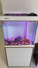 森森（SUNSUN）大型魚(yú)缸底過(guò)濾水族箱客廳家用落地玻璃生態(tài)金魚(yú)缸 【實(shí)時(shí)溫顯+燈控】珍珠白 0.6米長(cháng)35cm寬 曬單實(shí)拍圖