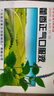 太極 藿香正氣口服液10ml*10支解表化濕理氣和中外感風(fēng)寒感冒癥見頭痛昏重胸膈痞悶 嘔吐泄瀉防暑降溫 曬單實拍圖