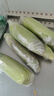京鮮生&佳農寶菜山東水果玉米單根275g+鮮甜多汁4-7根凈重4.6斤源頭直發(fā) 曬單實(shí)拍圖