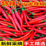 京源采云南小米辣椒新鮮泡椒農(nóng)家小米椒9斤朝天辣椒指天椒鮮紅辣椒批發(fā) 半斤嘗鮮裝 250g 曬單實拍圖