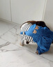 阿莫爾狗狗衣服秋冬款可牽引四腳背帶褲泰迪比熊博美小型犬寵物貓咪服裝 藍(lán)色【可牽引】 XS(建議1-3斤具體參考胸圍背長(zhǎng)) 曬單實(shí)拍圖