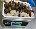 深海兄弟印尼青蟹塊1.2斤特大進(jìn)口鮮活冷凍肉蟹海鮮螃蟹海蟹水產(chǎn)中秋禮品源頭直發(fā)包郵 曬單實(shí)拍圖