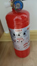 神龍25年新國(guó)標(biāo)干粉滅火器2kg 商用物業(yè)車載家用消防器材 MF/ABCE2 曬單實(shí)拍圖