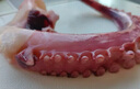 特大魷魚(yú)須新鮮速凍脆口魷魚(yú)須非章魚(yú)足超大冷凍生鮮水產(chǎn)商用批發(fā) 超大號(hào)5斤 曬單實(shí)拍圖