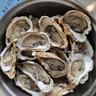 生蠔山東大生蠔鮮活牡蠣肉質(zhì)肥美凈重5斤原產(chǎn)地直發(fā)到家 5斤XL【約28-33個(gè)】清蒸版 曬單實(shí)拍圖