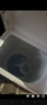 海爾（Haier）洗衣機(jī)半自動(dòng)雙缸雙桶筒脫水機(jī)甩干機(jī)大容量家用雙動(dòng)力雙杠波輪 【82A7】12KG新品+一級(jí)能效+動(dòng)平衡脫水 曬單實(shí)拍圖
