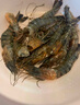 活凍黑虎蝦 超大蝦類(lèi)大蝦生鮮老虎蝦冰鮮對蝦鮮海蝦 新貨1盒裝-1斤 450g(凈重)  【13-15厘米】20只裝/盒 曬單實(shí)拍圖