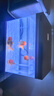森森（SUNSUN）超白魚(yú)缸一體缸自循環(huán)客廳桌面小型家用水族箱HEJ-380 曬單實(shí)拍圖