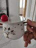 沃德百惠（WORTHBUY）杯蓋食品級圓形可愛(ài)杯蓋萬(wàn)能杯蓋配件玻璃杯馬克杯蓋茶杯蓋子 白 曬單實(shí)拍圖