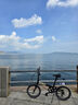 大行（DAHON）經(jīng)典P8折疊自行車成人20英寸8速男女式通勤運(yùn)動(dòng)單車KBC083 消光黑【經(jīng)典版】 曬單實(shí)拍圖