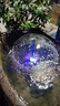 GCCW全套蘑菇噴泉水泵彩燈噴頭循環(huán)增氧泵小型假山魚(yú)池水池造景小噴泉 （矮款）魚(yú)缸噴泉泵20瓦 曬單實(shí)拍圖