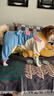 MIKI PAD狗狗衣服小型犬貓衣服秋冬季保暖可牽引外出背帶褲比熊泰迪雪納瑞 藍色口袋背帶褲 L背長(cháng)35cm（參考體重9-13斤） 曬單實(shí)拍圖