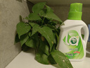媽媽壹選天然植皂洗衣液清香型6斤組合裝（瓶1kg+補(bǔ)充袋裝1kg*2）潔凈污漬 曬單實(shí)拍圖