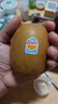佳沛（zespri）新西蘭陽光金奇異果原箱 16粒巨無霸 單果重約202-230g   獼猴桃 曬單實拍圖
