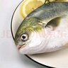 環(huán)球水產(chǎn)南海大規(guī)格金鯧魚550g1條 BAP認(rèn)證 海魚 生鮮魚類 火鍋 海鮮水產(chǎn) 曬單實(shí)拍圖