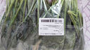 【嫩芽尖尖】菠菜苗400g(長(cháng)度≤20cm) 曬單實(shí)拍圖