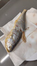 三都港 冷凍寧德大黃魚(yú)700g/2條裝 黃花魚(yú) 生鮮魚(yú)類(lèi) 深海魚(yú) 中秋 曬單實(shí)拍圖